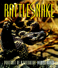 Rattlesnake: Portrait of a Predator