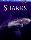 Readers Digest Explores Sharks