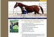 Midkiff Horse Training